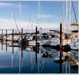 Marina Icon